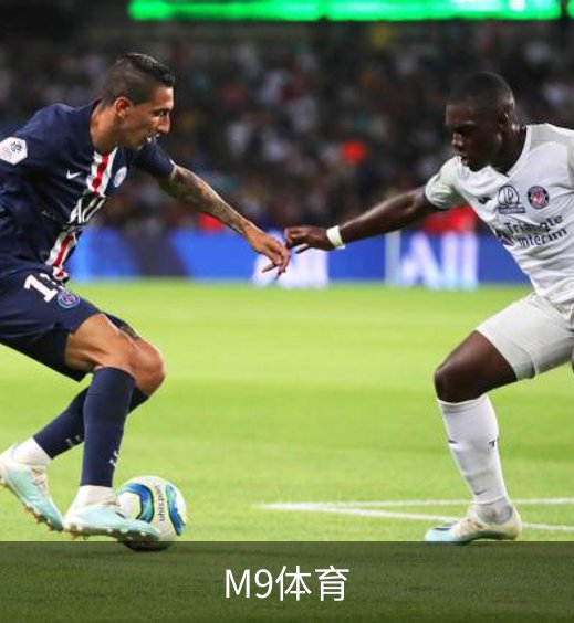 M9体育介绍